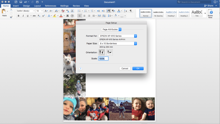 Screen Shot 2017-07-17 at 11.56.18 AM
