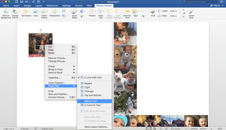 Screen Shot 2017-07-17 at 11.59.24 AM